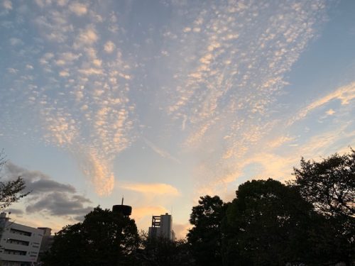 img_2960